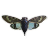 Tosena Splendida  - www.nadoranature.com - premium kwaliteit vlinders - cicade - motten -  insecten - magische wezentjes - opgezet - in lijst - in stolp